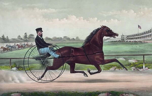 The champion trotting stallion Smuggler owned by H. S. Russel
