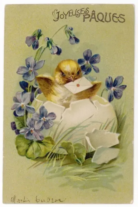 Framed Print : Yellow Chick Hatching Print Framed Print : Yellow Chick Hatching Print