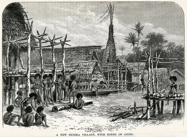 Chiefs house, village in Papua New Guinea