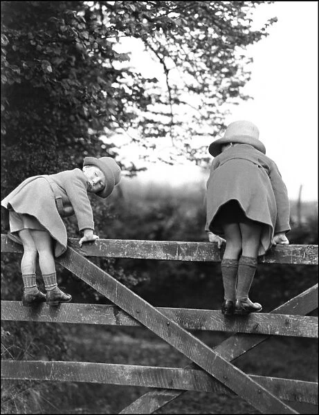 Two children play on a fence - Devon