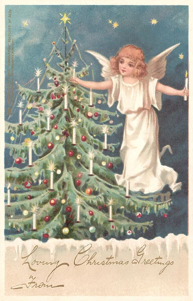 Christmas fairy