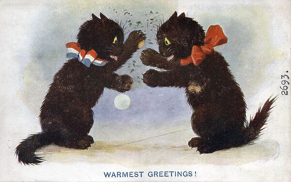 Comic postcard, Two black cats on greetings card