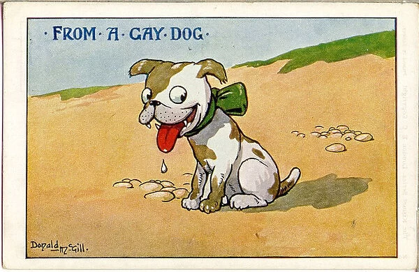 Comic postcard, From a gay dog