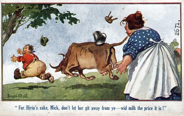 Comic postcard, Man chased by cow Date: circa 1918