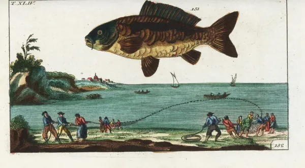 Common Carp and Fishermen Hauling a Net, 1804 Art Prints