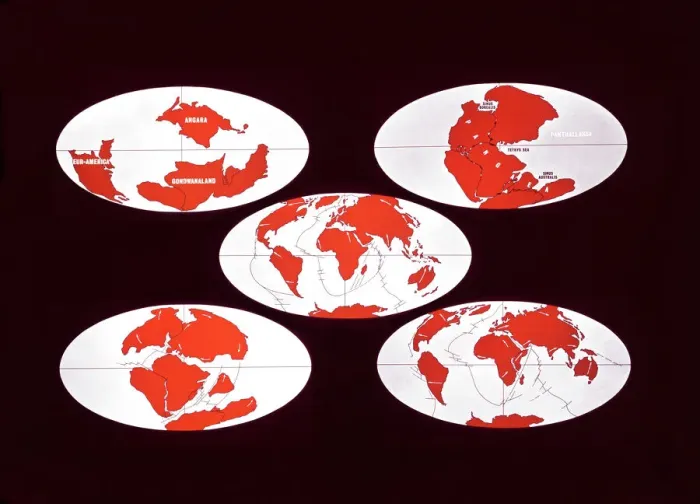 Framed Print : Mary Evans Prints Online Continental Drift Print: 5 Diagrams Framed Print : Mary Evans Prints Online Continental Drift Print: 5 Diagrams