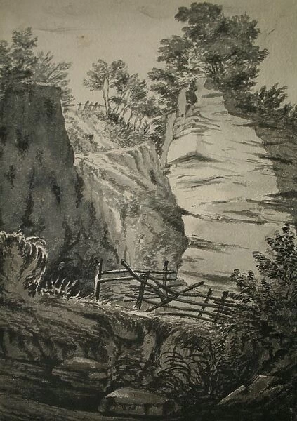 Country scene with trees and rocks