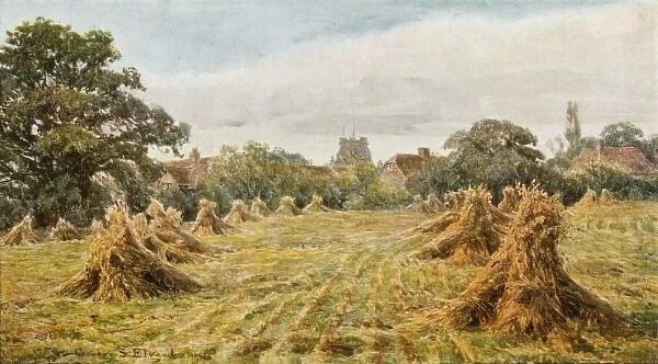 Countryside Field 1906