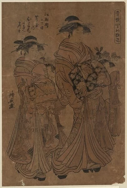 The courtesan Hitomachi of Tsutaya at Edomachi Nichome