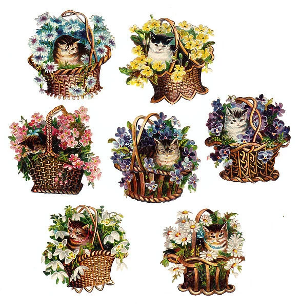 Cute cats in baskets of flowers on seven Victorian scraps