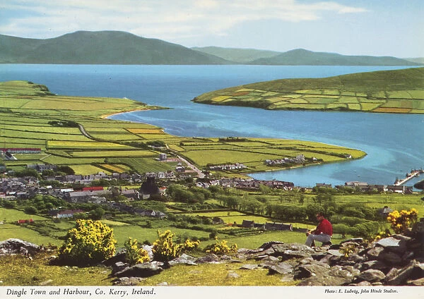 Dingle Town & Harbour County Kerry Ireland