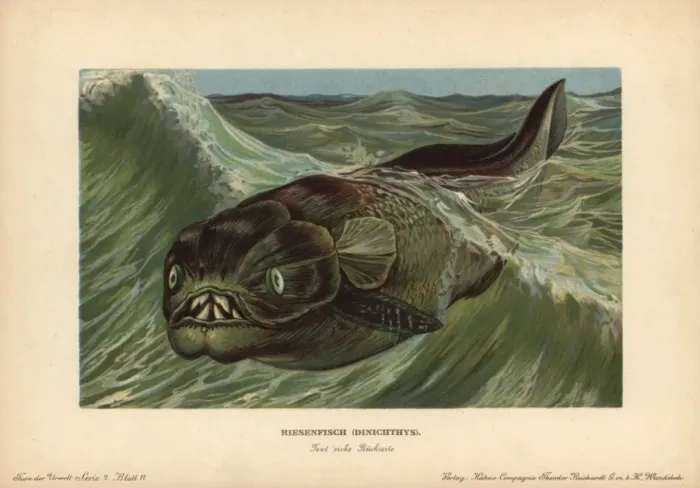 Framed Print : Dinichthys, Devonian Placoderm Print Framed Print : Dinichthys, Devonian Placoderm Print