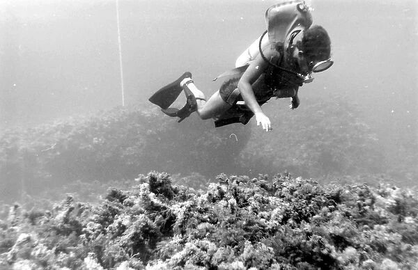 Diver underwater off the coast of Malta