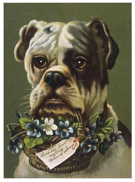 Dog and Flower Basket