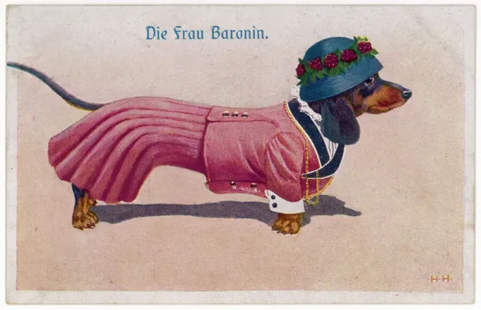 Framed Print : Well Dressed Dachshund Print Framed Print : Well Dressed Dachshund Print