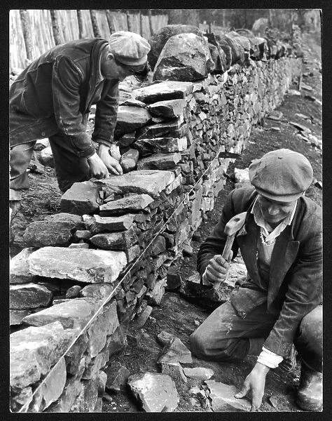 Dry Stone Walling. Two working class men in flat caps build a dry stone