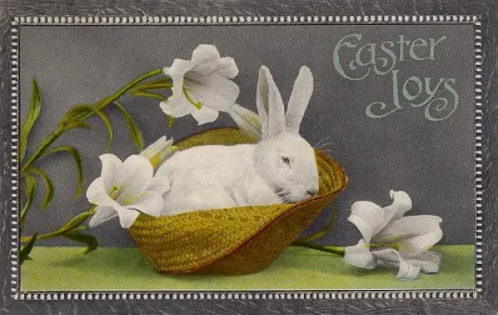 Framed Print : White Rabbit Easter Print 1912 Framed Print : White Rabbit Easter Print 1912