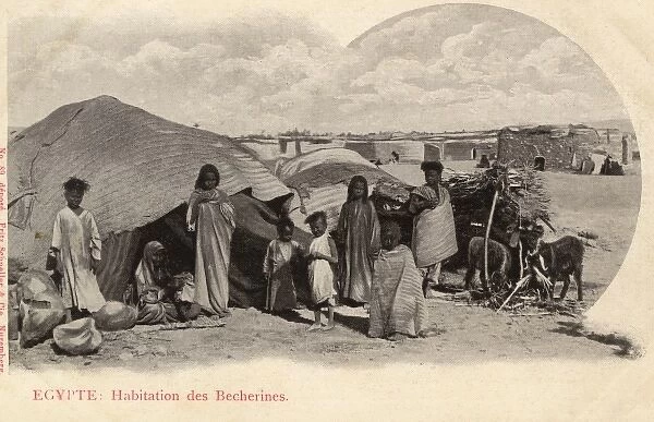 Egypt - Bicharin encampment