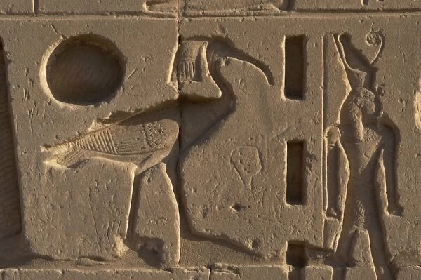 Egyptian Art. Karnak. Relief with an Ibis