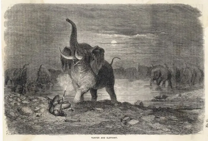 Framed Print : Elephant Hunt Print Framed Print : Elephant Hunt Print