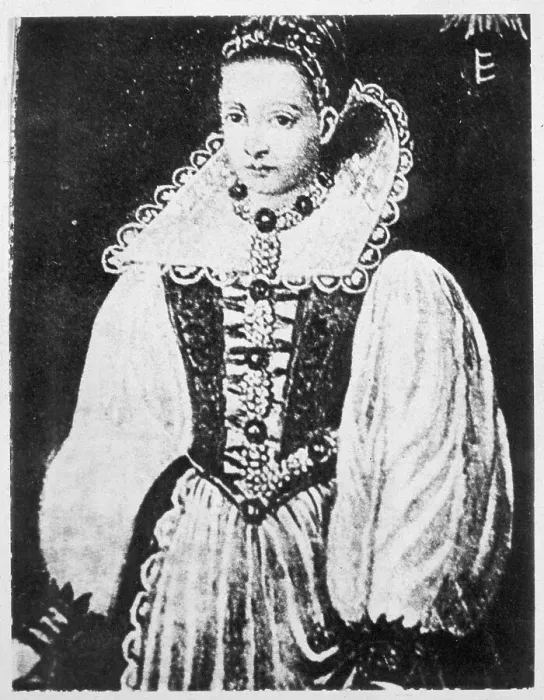 Framed Print : Elizabeth Bathory Print - 16th Century Hungarian Noblewoman Framed Print : Elizabeth Bathory Print - 16th Century Hungarian Noblewoman