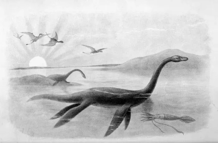 Framed Print : Plesiosaurus Dolicodeirus Print (7 metres in length) Framed Print : Plesiosaurus Dolicodeirus Print (7 metres in length)