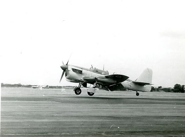 Fairey Firefly AS7, WJ146