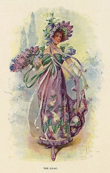 Fairies of the Garden - The Lilac