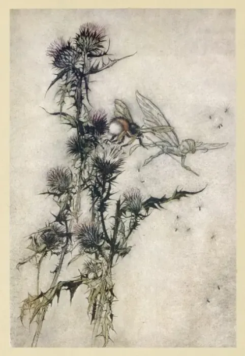 Framed Print : Fairy and Bee Print Framed Print : Fairy and Bee Print