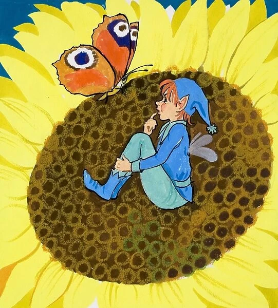 Fairy and butterfly on sun flower