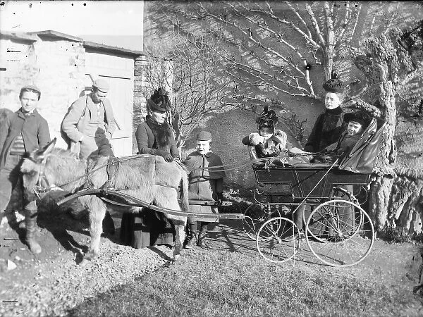 Family with donkey-drawn trap in a garden, Mid Wales