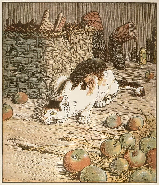 A farm cat gets ready to pounce on his prey. Date: circa 1887