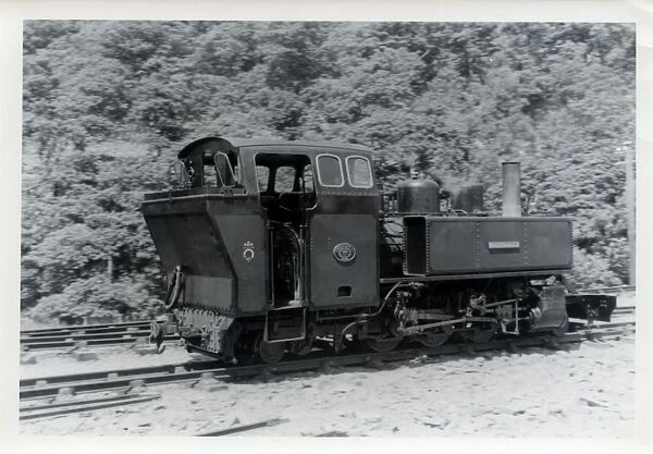 Ffestiniog Narrow Gauge Steam Locomotive Mountaineer