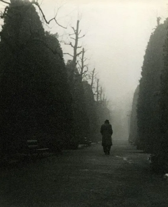 Framed Print : Figure in the Mist Print Framed Print : Figure in the Mist Print