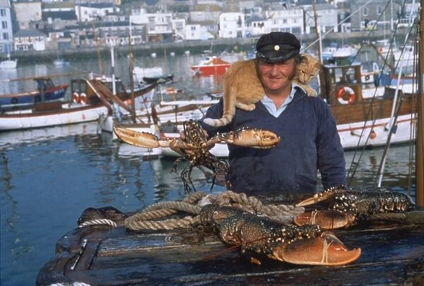 Fisherman with lobsters and cat, St Ives, Cornwall
