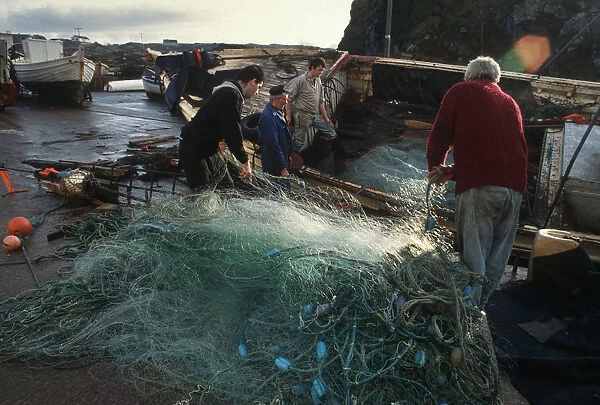 Fishermen pull nets ashore onto quayside, Donegal, Ireland