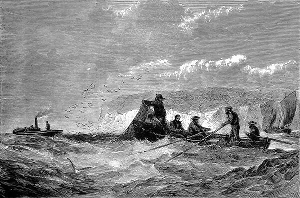 Fishing for Pilchards, 1871