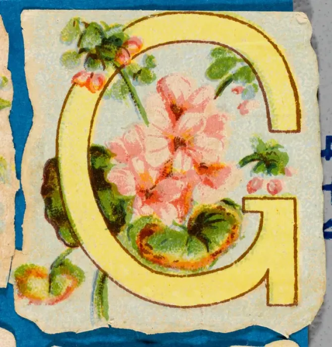 Framed Print : Flower G Print Framed Print : Flower G Print