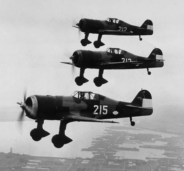 Fokker D XXI trio -the standard Dutch fighter at the ti