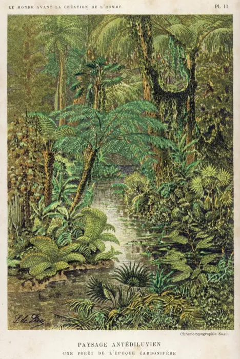 Framed Print : Carboniferous Forest Print
