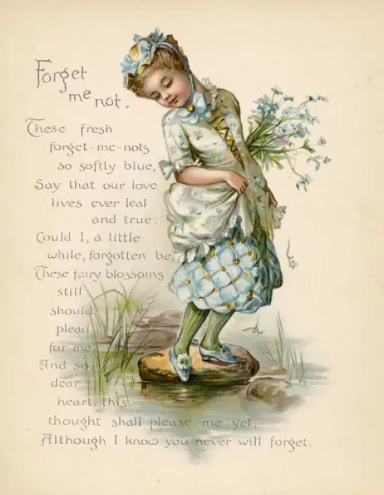 Framed Print : Forget Me Not Language of Flowers Print Framed Print : Forget Me Not Language of Flowers Print