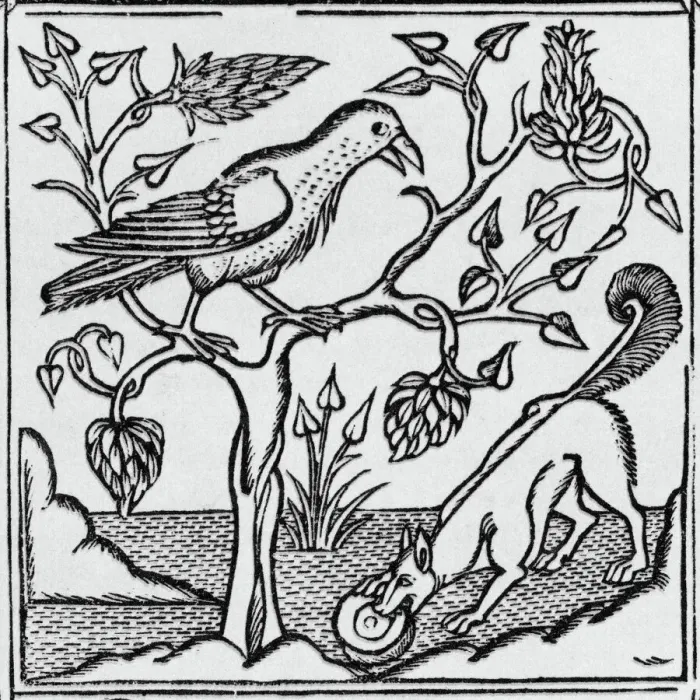 Framed Print : 15th Century Print of The Fox and the Crow, Aesop's Fable Framed Print : 15th Century Print of The Fox and the Crow, Aesop's Fable