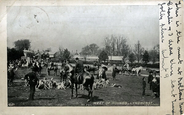 Foxhunting - A Meeting of Hounds, Lyndhurst, Hampshire