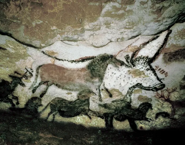 Framed Print : Upper Paleolithic Cave Painting Print: Horses and a Bull Framed Print : Upper Paleolithic Cave Painting Print: Horses and a Bull