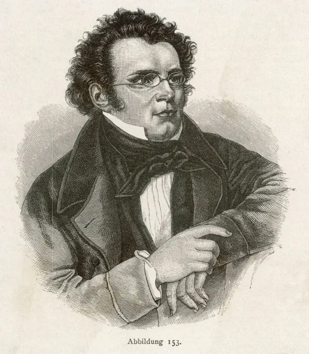 Framed Print : Franz Schubert Austrian Composer Print Framed Print : Franz Schubert Austrian Composer Print