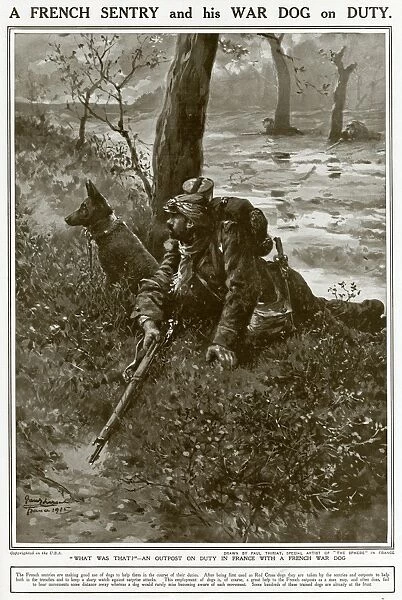 A French Sentry and his War Dog on Duty