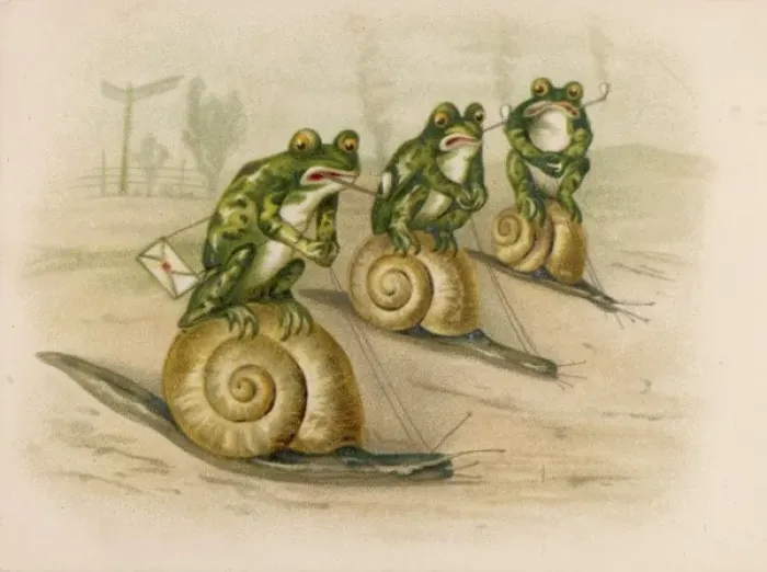 Framed Print : Three Frogs on Snails Print Framed Print : Three Frogs on Snails Print