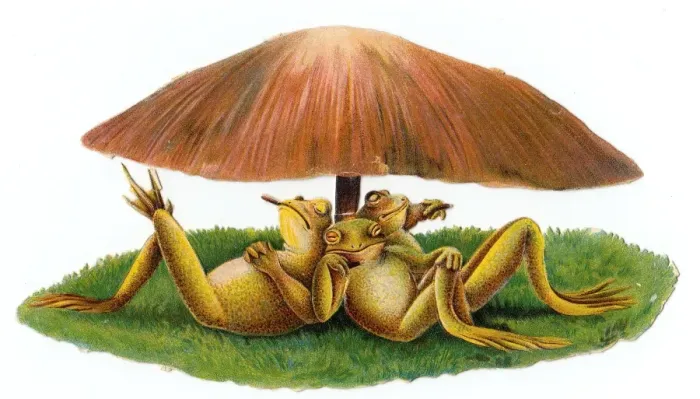 Framed Print : Victorian Era Print of Frogs Under a Toadstool