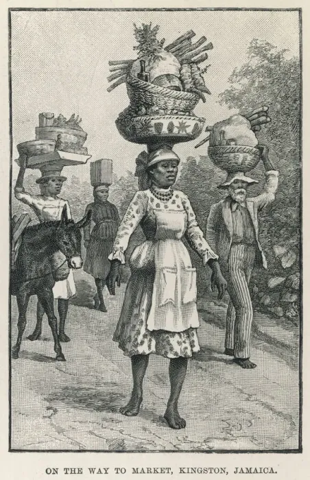 Framed Print : Carrying Bananas to Kingston Market Print, 1888 Framed Print : Carrying Bananas to Kingston Market Print, 1888