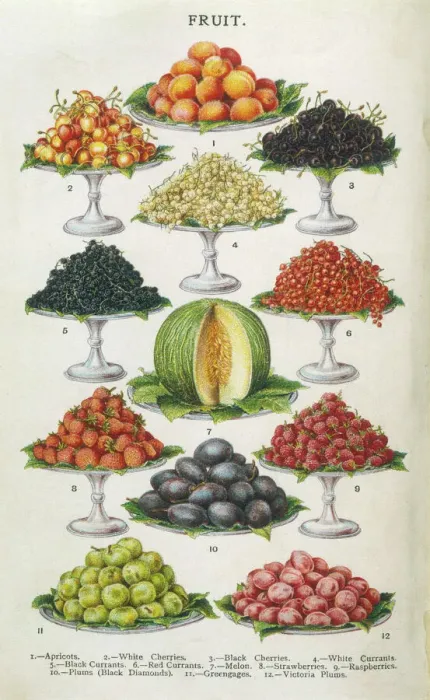 Framed Print : Fruit Print on Platters 1907
